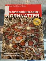Bild 6/11