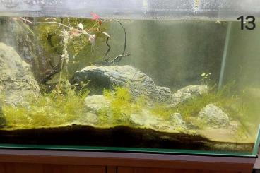 tanks kaufen und verkaufen Photo: Aquarium mit Schiebenscheiben tanks kaufen und verkaufen Photo: Aquarium mit Schiebenscheiben
