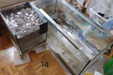 tanks kaufen und verkaufen Photo: Aquarium mit Eiablage und Abdeckng tanks kaufen und verkaufen Photo: Aquarium mit Eiablage und Abdeckng
