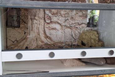 Enclosures kaufen und verkaufen Photo: Verkaufe Terra-Anlage!!!!