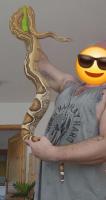 Bild 2/4