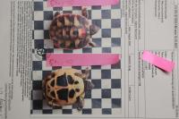 Bild 11/17