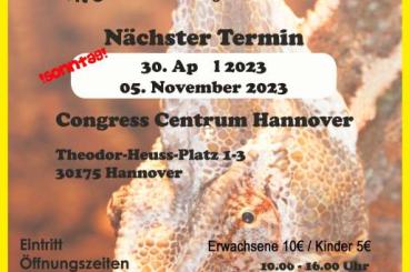 Schlangen kaufen und verkaufen Foto: Terrarienbörse Hannover  am 5.November 2023