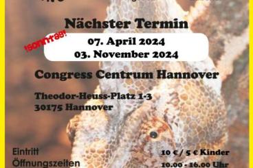 Schlangen kaufen und verkaufen Foto: Terrarienbörse Hannover  am 07.April 2024