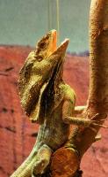Bild 7/8