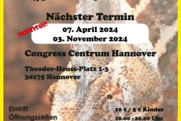 Echsen  kaufen und verkaufen Foto: Terrarienbörese Hannover, im HCC