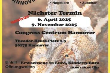 Schlangen kaufen und verkaufen Foto: Terrarienbörse Hannover, die Börse im Norden ! Schlangen kaufen und verkaufen Foto: Terrarienbörse Hannover, die Börse im Norden !
