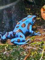 Bild 7/7