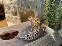 Bild 8/8