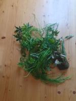 Bild 2/8