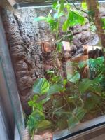 Bild 8/8
