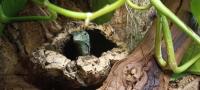 Bild 7/8