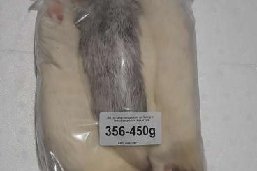 Futtertiere kaufen und verkaufen Foto: Frostfutter- Kaninchen, Ratten, Mäuse Futtertiere kaufen und verkaufen Foto: Frostfutter- Kaninchen, Ratten, Mäuse