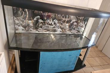 tanks kaufen und verkaufen Photo: Ich verkaufe ein Aquariu mit Unterschrank mit der Maße 160x60x60. 