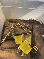 Bild 8/8