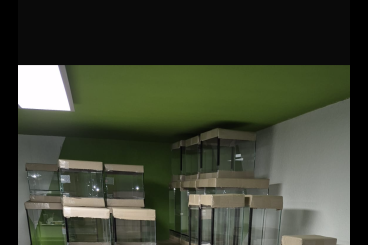 Enclosures kaufen und verkaufen Photo: Glas Terrarien neu Glas Becken Enclosures kaufen und verkaufen Photo: Glas Terrarien neu Glas Becken