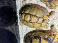 Bild 5/8