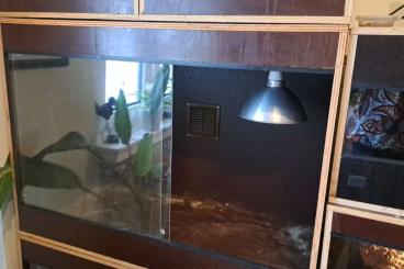 Enclosures kaufen und verkaufen Photo: Dekorative Terrarien aus Siebdruckplatten Enclosures kaufen und verkaufen Photo: Dekorative Terrarien aus Siebdruckplatten