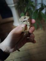Bild 19/31