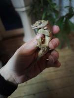 Bild 20/31
