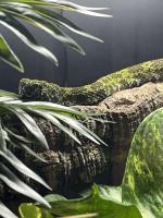 Bild 8/8