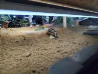 Bild 6/10