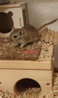 Bild 5/8