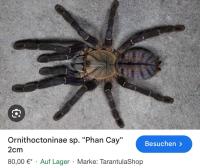 Bild 3/5