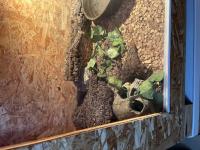 Bild 7/7