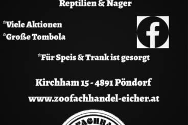 Snakes kaufen und verkaufen Photo: Hausmesse 2025 - Zoofachhandel Eicher Snakes kaufen und verkaufen Photo: Hausmesse 2025 - Zoofachhandel Eicher