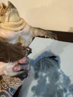 Bild 5/6