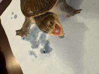 Bild 6/10