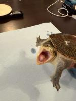 Bild 8/10