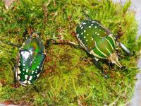 Bild 3/17