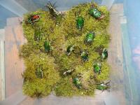 Bild 6/17