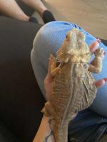 Bild 8/13