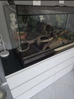 Bild 6/7