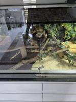 Bild 7/7