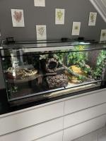Bild 3/7