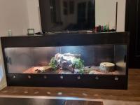 Bild 5/5