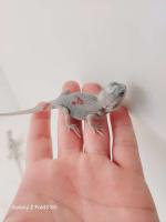 Bild 9/14