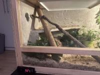 Bild 4/6