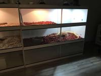 Bild 7/7