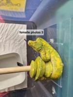 Bild 7/10
