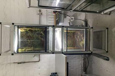 Enclosures kaufen und verkaufen Photo: Dendrobaten Terrarien Auflösung Enclosures kaufen und verkaufen Photo: Dendrobaten Terrarien Auflösung