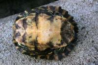 Bild 7/8