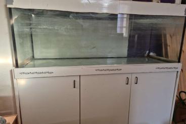 tanks kaufen und verkaufen Photo: Aquarium 375l (150x50x50) tanks kaufen und verkaufen Photo: Aquarium 375l (150x50x50)