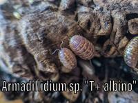 Bild 18/25