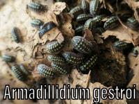Bild 14/25