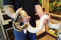 Bild 7/7